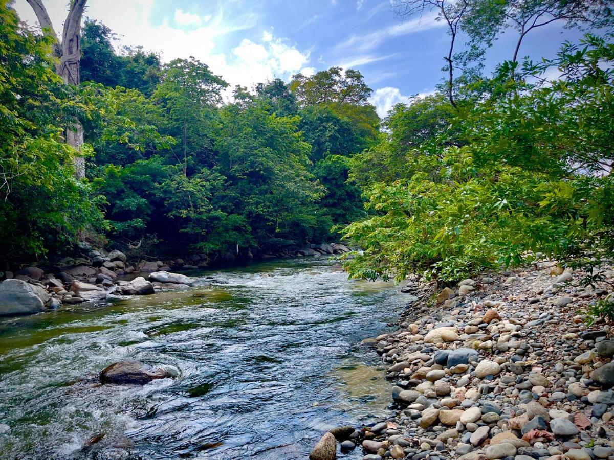 Tayrona Suites El Zaino Dış mekan fotoğraf